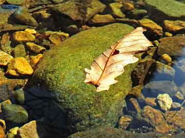 “医保驾照”来了,title_color：