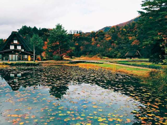 28日草草最新线路探索，一次独特的旅行体验