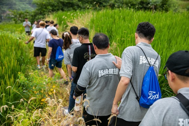 去年探险者国产最新动态揭秘，踏足自然秘境，探寻内心桃花源