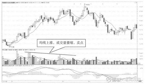 中国股市最新市值概览，11月13日市场数据指南（适用于初学者与进阶用户）