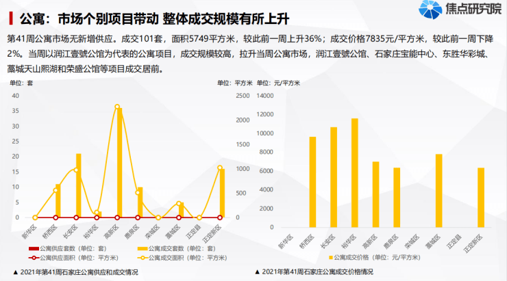 桃江县新动向揭秘，11月发展热点多元观点探讨