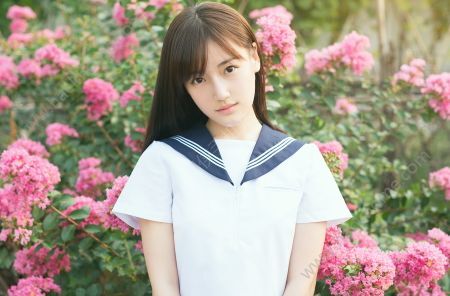 樱井莉亚最新资讯获取与解析指南（适合初学者与进阶用户）