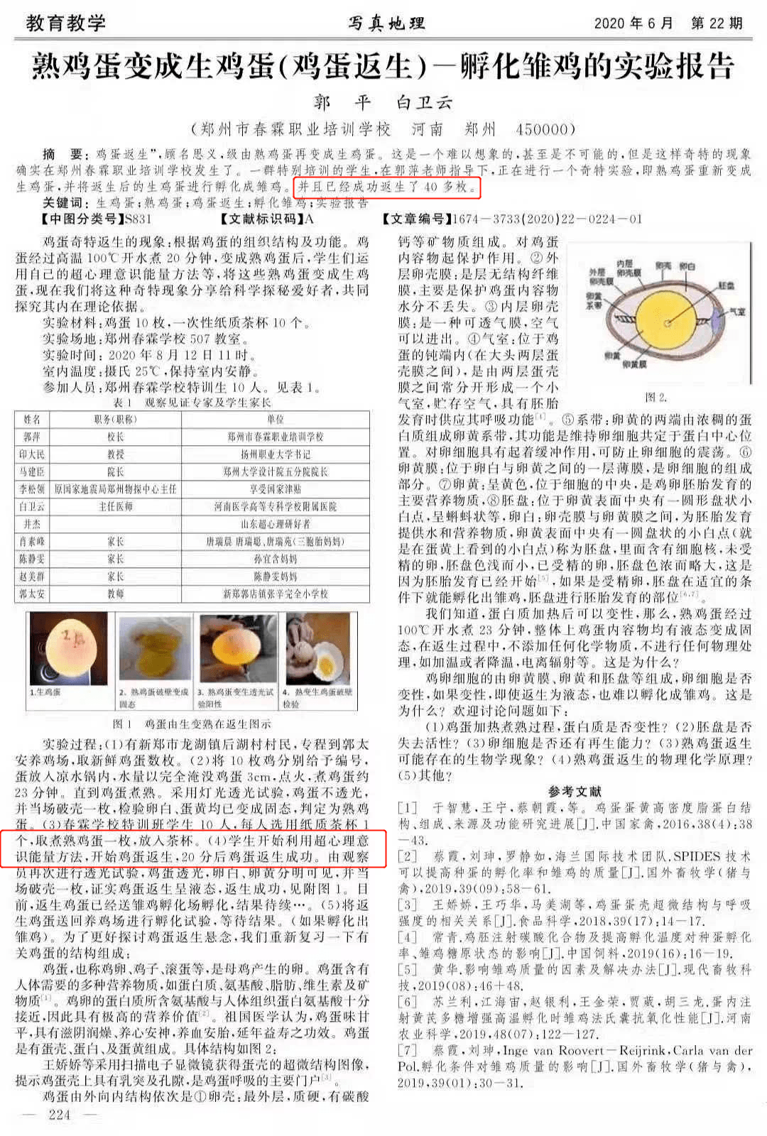 深度解读与评价，幻乐之城历年11月17日精彩瞬间回顾与最新资讯回顾