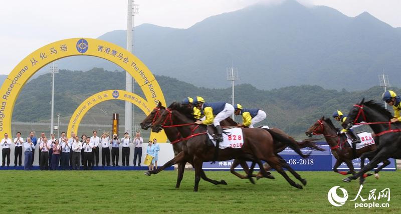 往年12月13日香港实时赛马会，激情与荣耀的盛宴