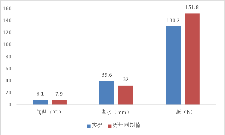 往年12月18日CDN实时备份，魔力与重要性揭秘