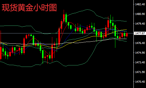 颂拓实时心率查询方法，历年12月22日指南