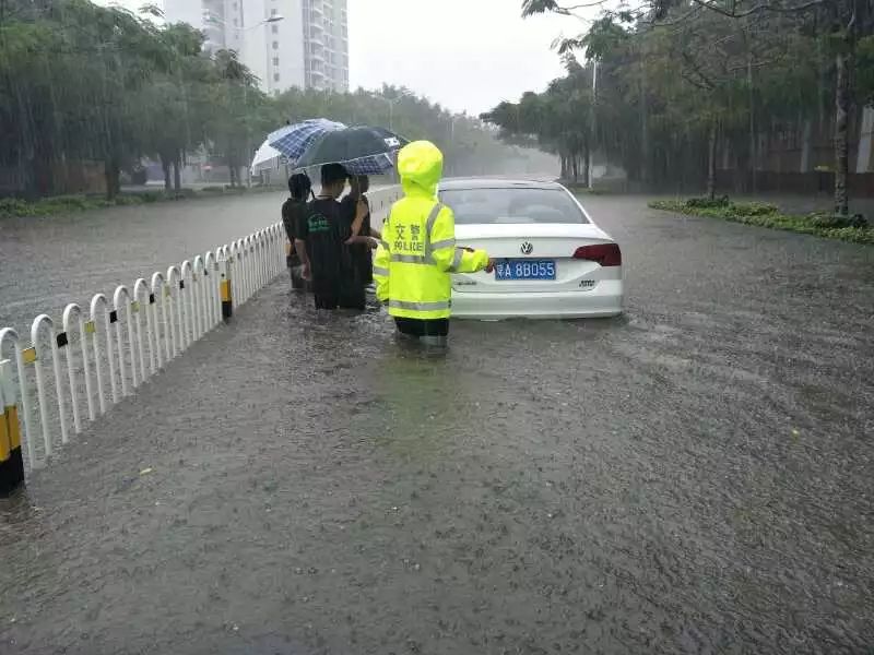 沈阳暴雨预警，最新实时路况与交通信息（2024年12月26日）