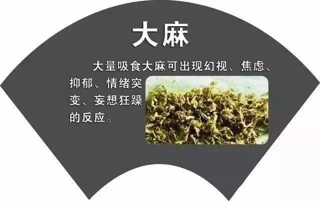 揭秘疼痛真相，宣传图片助力健康人生！