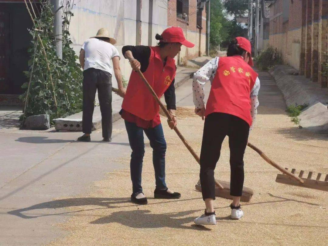 寸草心活动宣传海报：寸草心志愿活动主题 